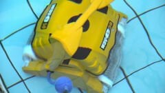 Dolphin Wave 50 Havuz Robotu